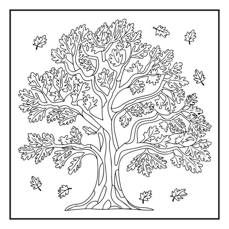 Bold Easy Coloring Pages Kids Adults Print File Cute Coloring Page 1115945 835